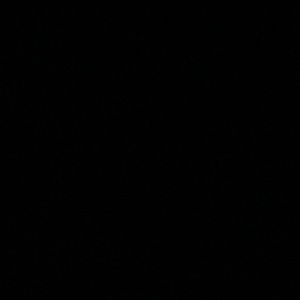 Meet your Posher, Flor